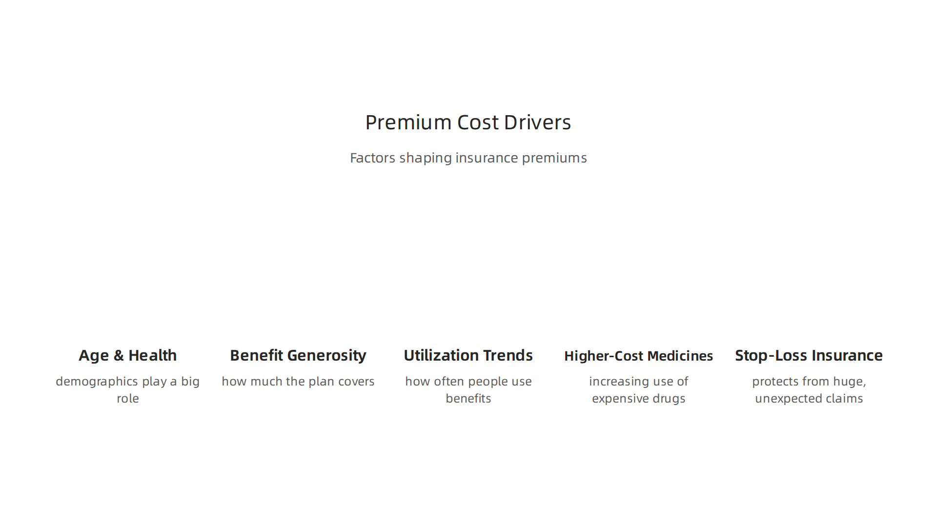 Infographic displaying the primary factors that drive the cost of private health insurance premiums.