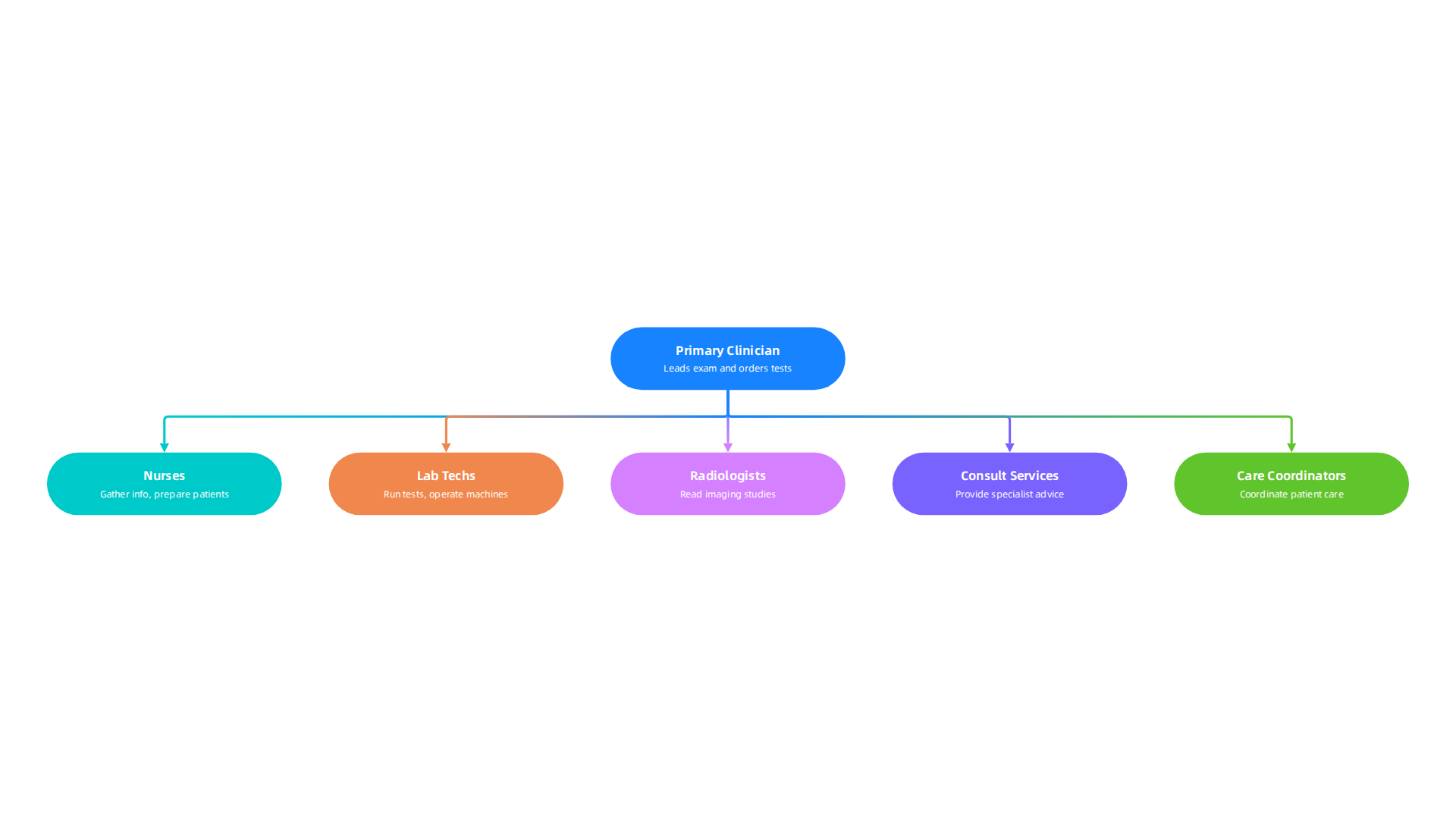 Key healthcare professionals involved in the diagnostic work-up process and their responsibilities.