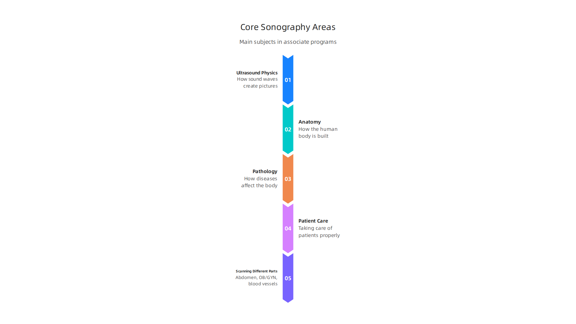 Key subjects covered in an Associate Degree in Diagnostic Medical Sonography programs.